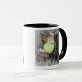 Mug Balle de tennis acérée de chien d'indicateur, plan (Devant droit)