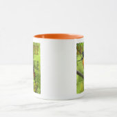 Mug Baltimore Oriole Mug- 11 oz. (Centre)