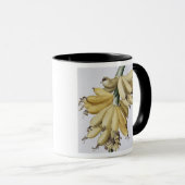 Mug Banane, 1816 (Devant droit)