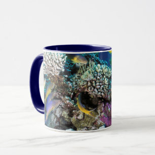 Mug Banc de rougets autour d'un petit corail