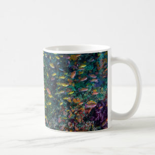 Mug Bancs de poissons nagent dans le récif