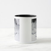 Mug Banzare, Sabrina et les côtes bouddhistes, Antarct (Centre)