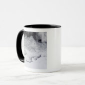 Mug Banzare, Sabrina et les côtes bouddhistes, Antarct (Devant gauche)