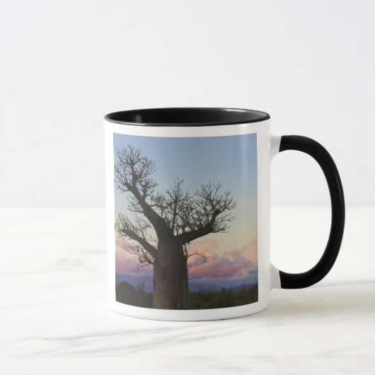 Mug Baobabs, Berenty, Toliara, Madagascar (Droite)