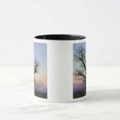Mug Baobabs, Berenty, Toliara, Madagascar (Centre)