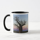 Mug Baobabs, Berenty, Toliara, Madagascar (Gauche)