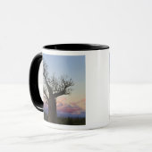 Mug Baobabs, Berenty, Toliara, Madagascar (Devant gauche)
