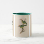 Mug Barbet de Franklin par John Gould (Centre)