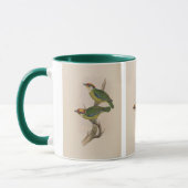 Mug Barbet de Franklin par John Gould (Gauche)