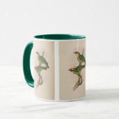 Mug Barbet de Franklin par John Gould (Devant gauche)