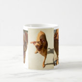 Mug Bards Musique (Centre)