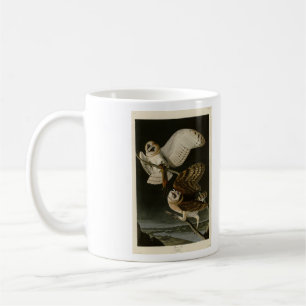 Mug Barn Owl (Tyto alba) Audubon's Birds of America