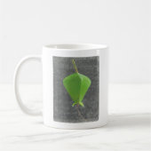 Mug Barringtonia Acutangula (Gauche)