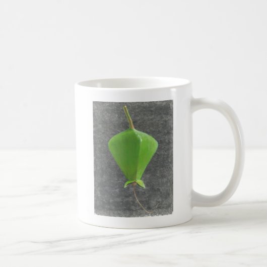 Mug Barringtonia Acutangula (Droite)