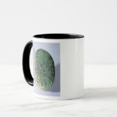 Mug Base d'un scarabée de mariage d'Amenhotep III (Devant gauche)