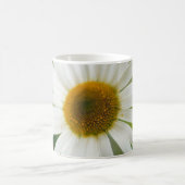 Mug Basière oculaire blanche - Leucanthemum vulgare (Centre)
