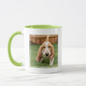 Mug Basset Hound chiot marche (Gauche)