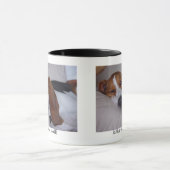 Mug Basset Hound somnolent (Centre)