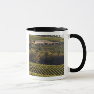 Mug Bâtiment brun Archery Summit perché sur une collin