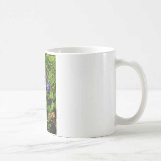 Mug Baume d'abeille pourpre et bourdon (Droite)