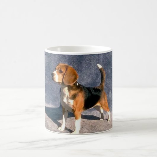 Mug beagle (Centre)