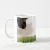 Mug beanANDgrass (Gauche)