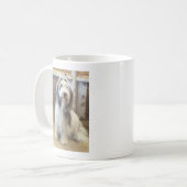 Mug Bearded Collie (Devant gauche)