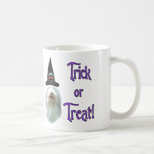 Mug Beared Collie Trick