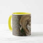 Mug Beau (Devant gauche)