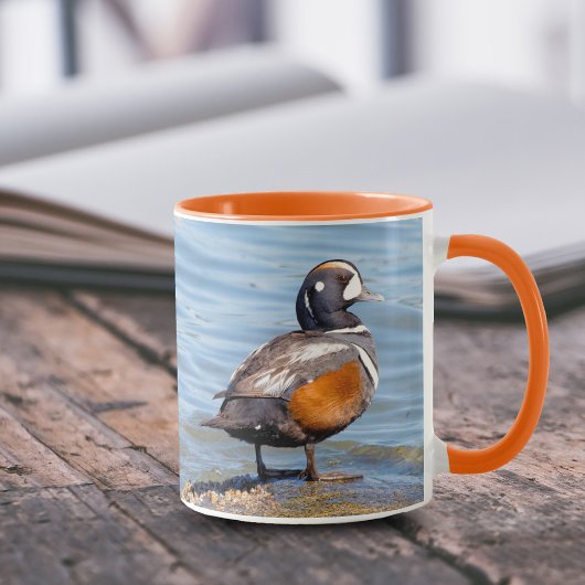 Mug Beau canard arlequin sur le rocher