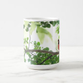 Mug Beau cardinal dans un arbre de lagerstroemia (Centre)