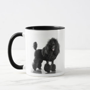 Mug Beau, équilibré, noir, corps complet de caniche