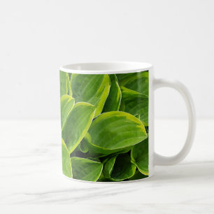 Mug Beau plante hosta vert