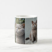 Mug beautiful cat (Centre)