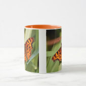 Mug Beautiful Orange Satyr Comma Butterfly (Centre)
