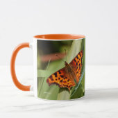 Mug Beautiful Orange Satyr Comma Butterfly (Gauche)