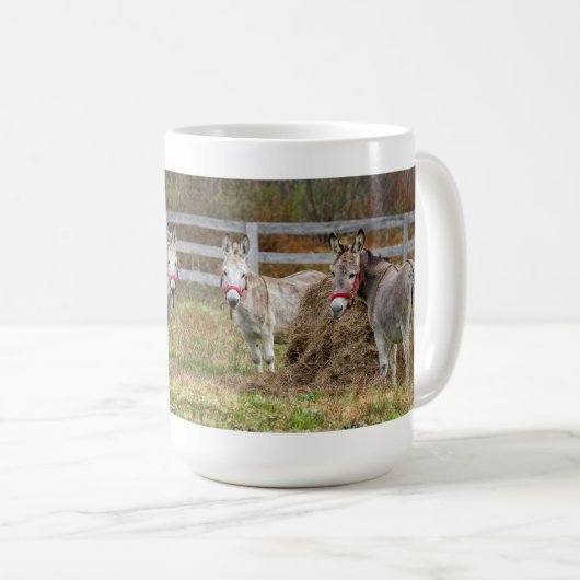 Mug Beaux ânes (Devant droit)