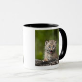 Mug Bébé Lynx (Lynx Canadensis) regardant au-dessus (Devant droit)