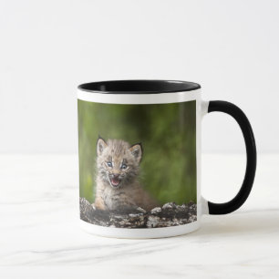 Mug Bébé Lynx regardant au-dessus de l'arbre tombé