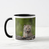 Mug Bébé Lynx regardant au-dessus de l'arbre tombé par (Gauche)