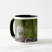Mug Bébé Lynx regardant au-dessus de l'arbre tombé par (Devant gauche)