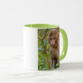 Mug Bébé Macaque Rhésus, Temple du Singe, Jaipur (Devant droit)