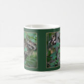 Mug Bébé mignon Raccoons /Bordure (Centre)