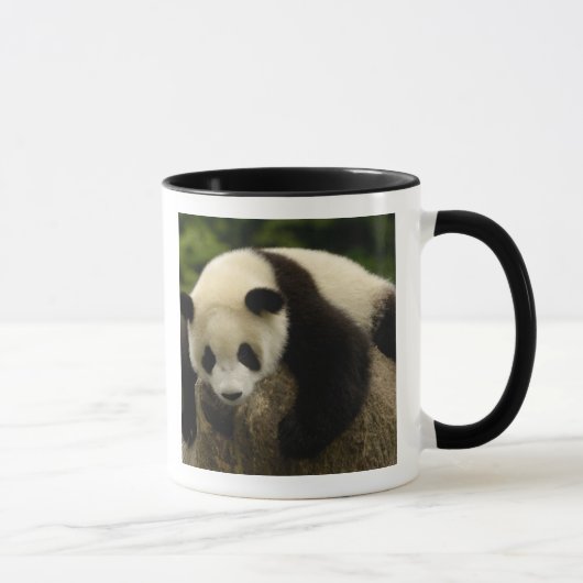 Mug Bébé panda géant (Ailuropoda melanoleuca) (Droite)