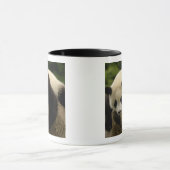 Mug Bébé panda géant (Ailuropoda melanoleuca) (Centre)