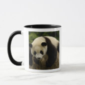 Mug Bébé panda géant (Ailuropoda melanoleuca) (Gauche)