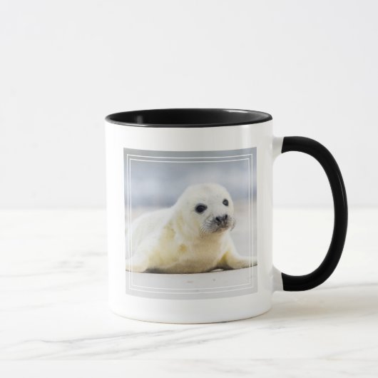 Mug Bébé phoque des images | de Getty (Droite)
