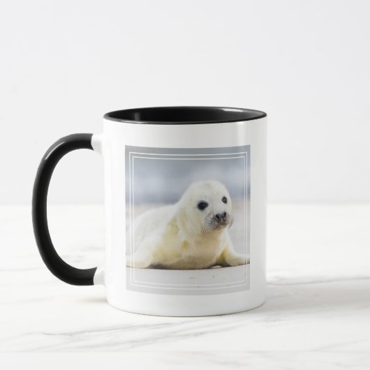 Mug Bébé phoque des images | de Getty (Gauche)