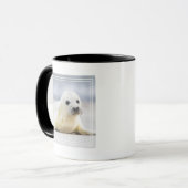 Mug Bébé phoque des images | de Getty (Devant gauche)
