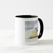 Mug Bébé phoque des images | de Getty (Devant droit)